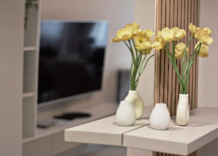 Boutique 2-bedroom Downtown Burgas